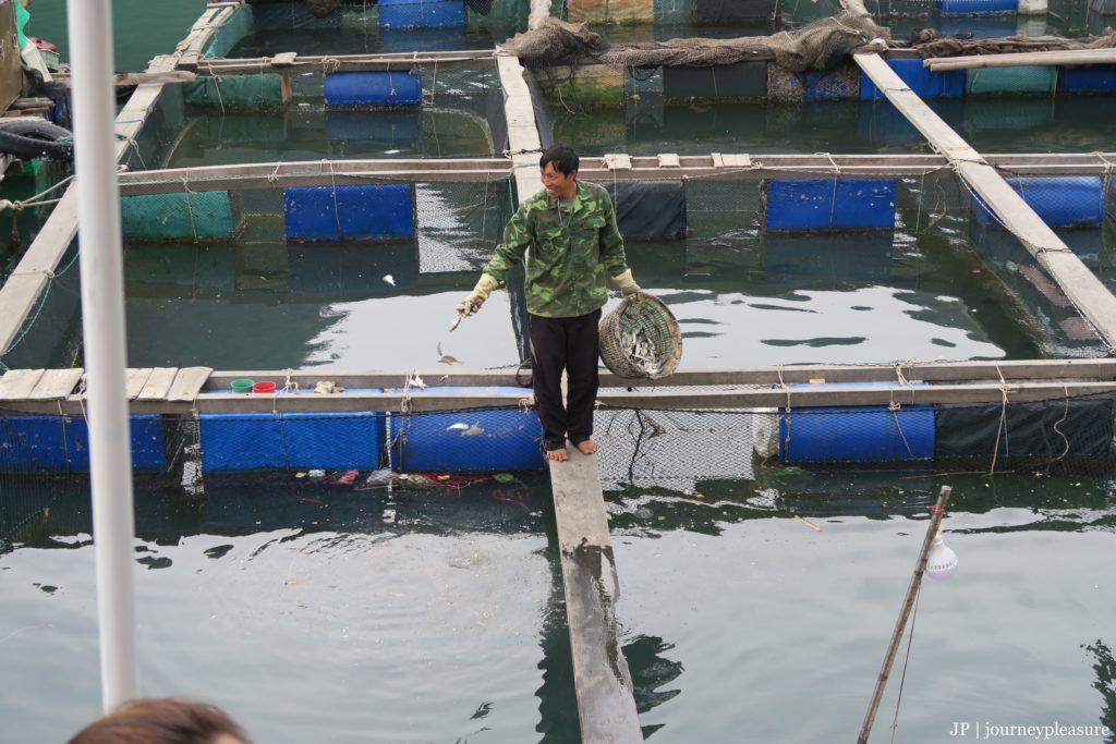 Halong Bucht Vietnam Halong Bucht Vietnam